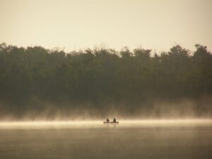 Misty morning canoe paddle on Miller Lake
