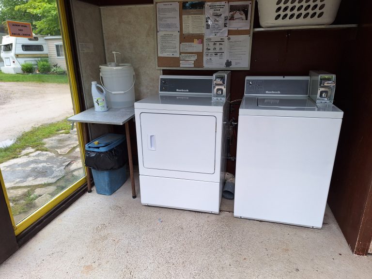 Laundry area: Washing machine, dryer, laundry soap