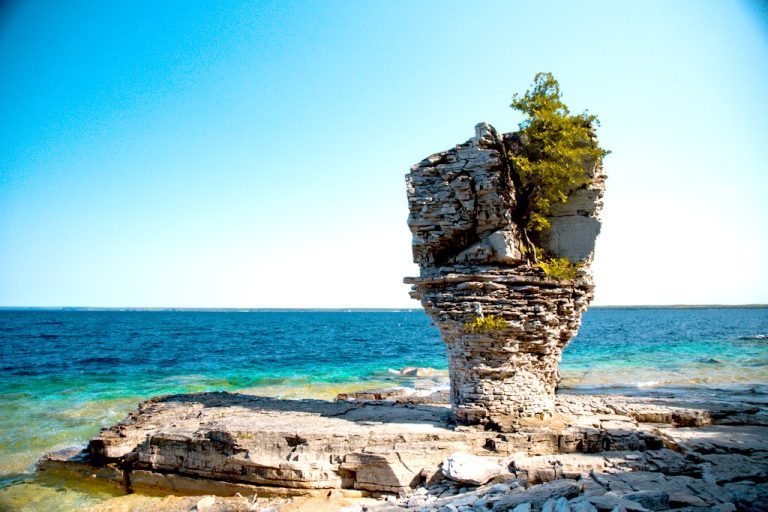 flowerpot island